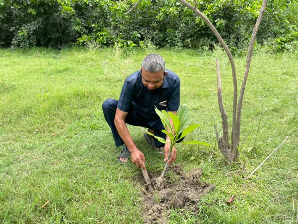 Plantation work done by BWF Team today in Kanpur