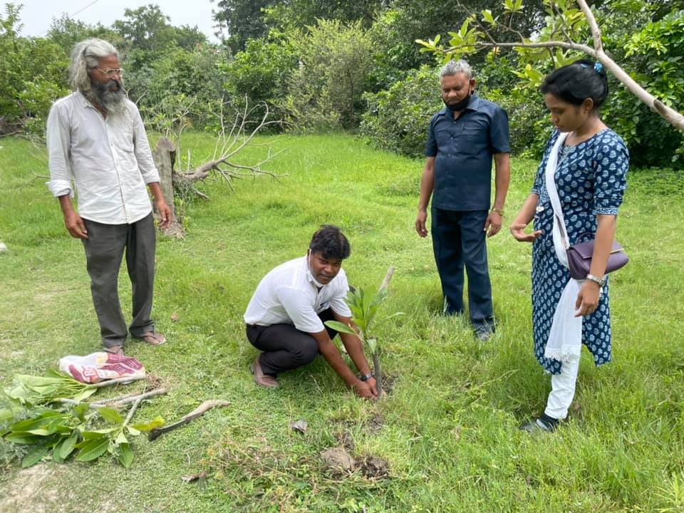 Plantation work done by BWF Team today in Kanpur