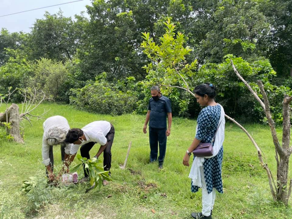 Plantation work done by BWF Team today in Kanpur